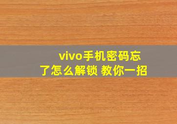 vivo手机密码忘了怎么解锁 教你一招